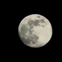 eldaris_veli05