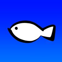 hamati__