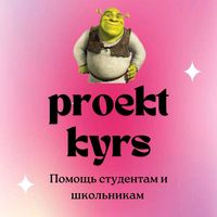 proektik12