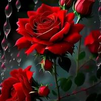 tamanna0012g