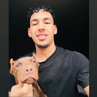 ishak_montreal