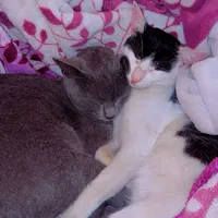 original sound - grgmuna1015