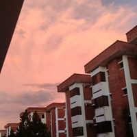 tanha__1701