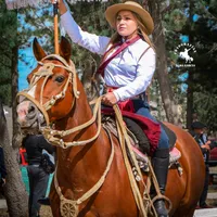 original sound - beel_antimil_