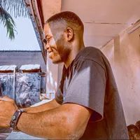 original sound - willyco7