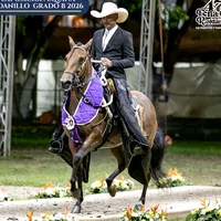 original sound - robinson_vallejo