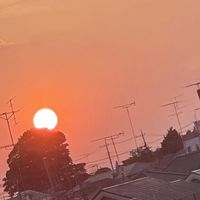 オリジナル楽曲 - music_love.yellow