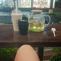 nhạc nền - MÈO CON BMT❤️