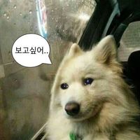 오리지널 사운드 - 보고싶어