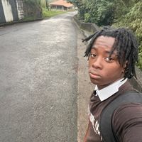 alee_officia