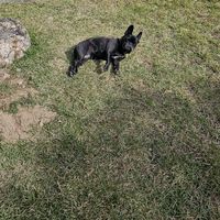 오리지널 사운드 - 서광이비치다