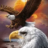 original sound - aguila_159