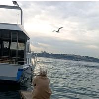 sevval______28_34