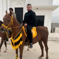 original sound - z_0e96