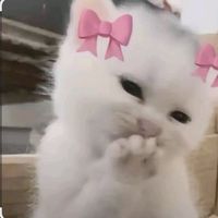 suara asli - s