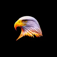 original sound - arafat3132a