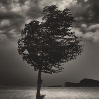 positive_mind115