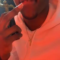 sir_vrard_14