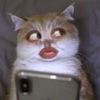 suara asli - Its Calle