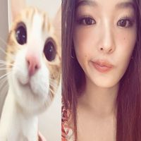 bpleannie