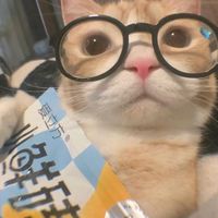 suara asli - @nayyiee1a💤
