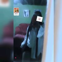 cielojara2