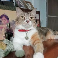 เสียงต้นฉบับ - ลุงอี๊ด