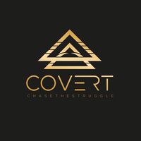 covertcombat