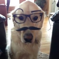 original sound - Im-su🦦