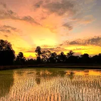 original sound - chowmak