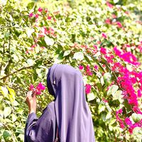 abiha_karima143