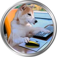 ken.shibashiba