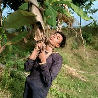 alipatwary4