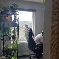 original sound - mr.hasi_06