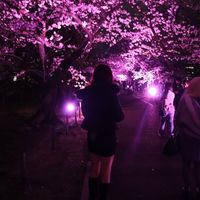 オリジナル楽曲 - ngn._.o04