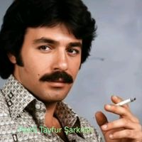 ferditayfursarkilari