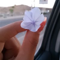 cami_jm20