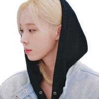 เศิกม้างปรปักษ์