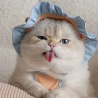 sonido original - user9178181666150