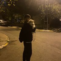 orijinal ses