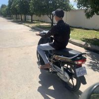 brov311
