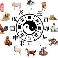 chinesezodiac09