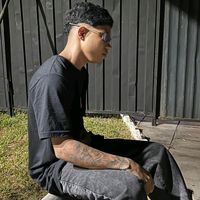 alisso_pdr1