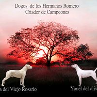 deloshermanosromero