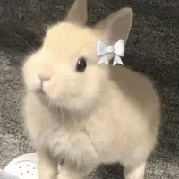 original sound - itssabirin