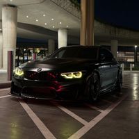 panda.x50