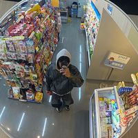 _____bima