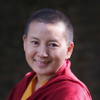 original sound - anichoyingdrolmaofficial