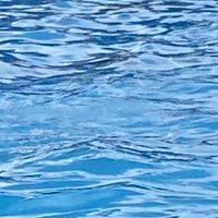 suara asli - ᅠᅠ⠀᠌ᅠᅠᅠᅠ⠀᠌ᅠᅠ