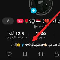 syeef13